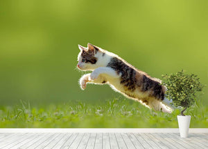 young cat jumps over a meadow in the backlit Wall Mural Wallpaper - Canvas Art Rocks - 4